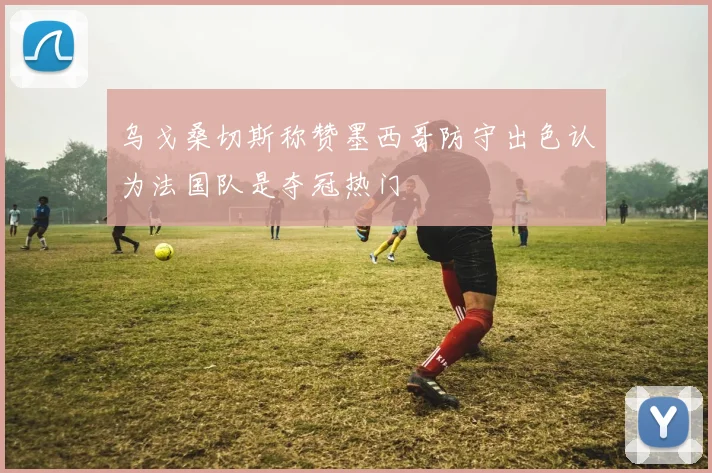 乌戈桑切斯称赞墨西哥防守出色认为法国队是夺冠热门